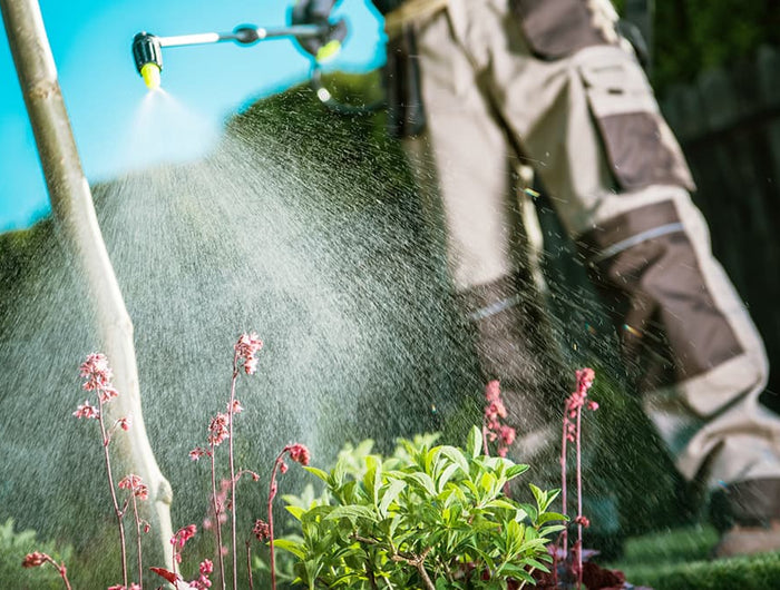 Tuinreiniging voor Hoveniers
