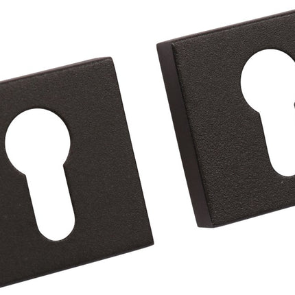 Rozet profielcilindergat op kunststof onderrozet  Oxloc