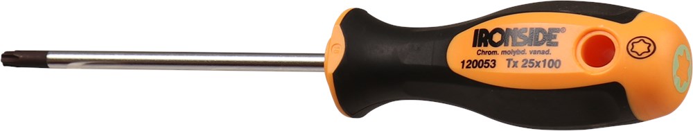 Torx schroevendraaier Ironside