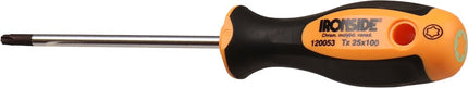 Torx schroevendraaier Ironside
