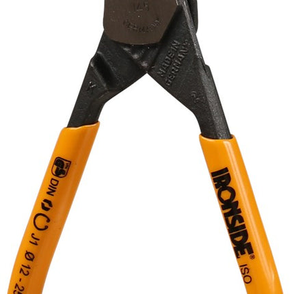Borgringtang Ironside