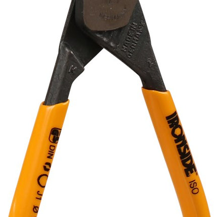 Borgringtang Ironside