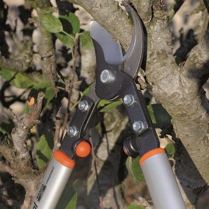 Afbeelding BAHCO takkenschaar professionele reeks P160-SL