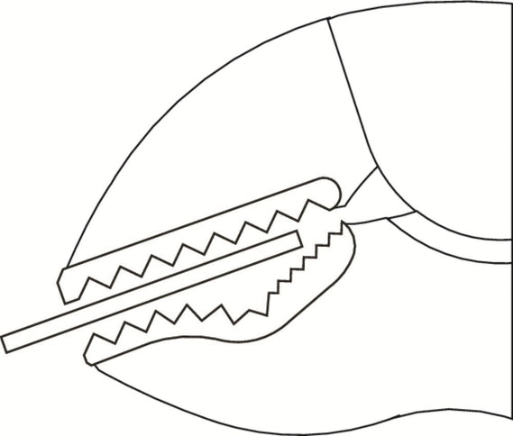Afbeelding Gedore griptang