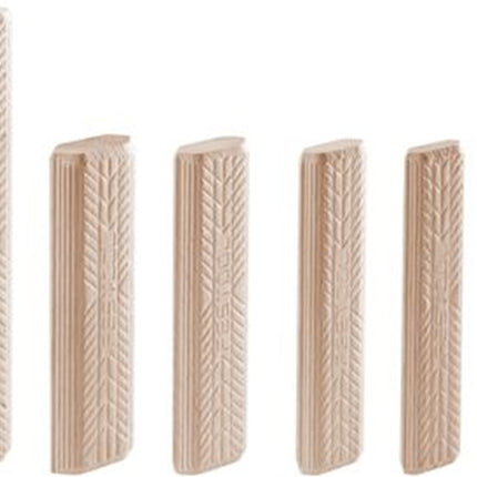 D 10X100/120 BU Domino – 498215
