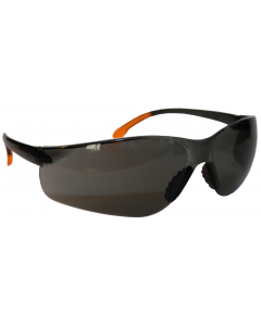 InterDynamics 801005 Veiligheidsbril standaard Getint